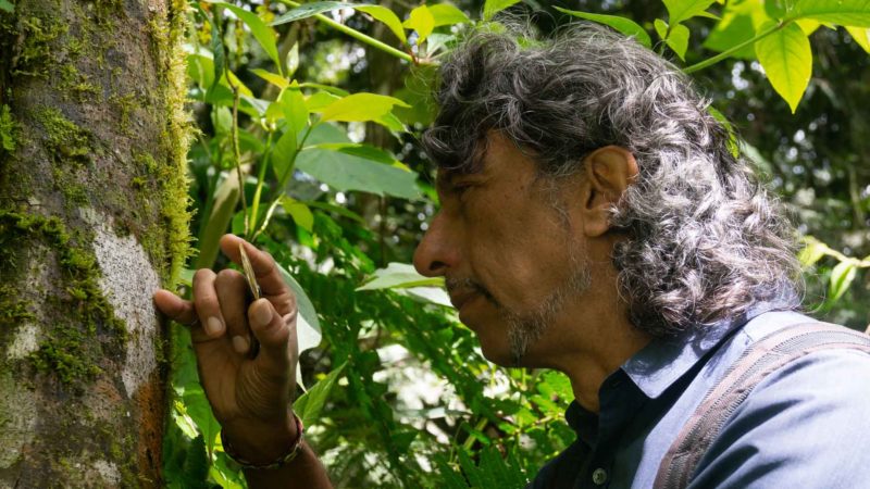 Vicente y la resistencia de la Ramalina victoriana